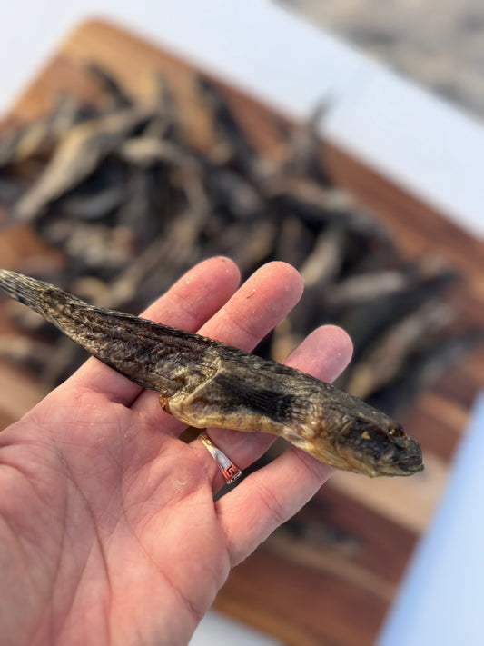 Dried Black Sea Goby with Roe Premium 1LB (Вяленые бычки с икрой )