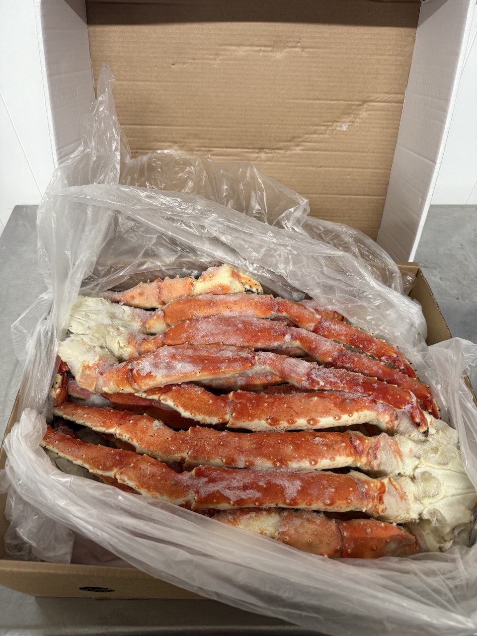 King Crab XL size