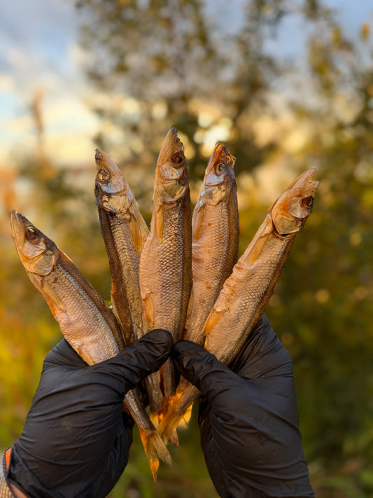 Premium Dried Smelt from Alaska 1Lb (Вяленная премиальная корюшка)