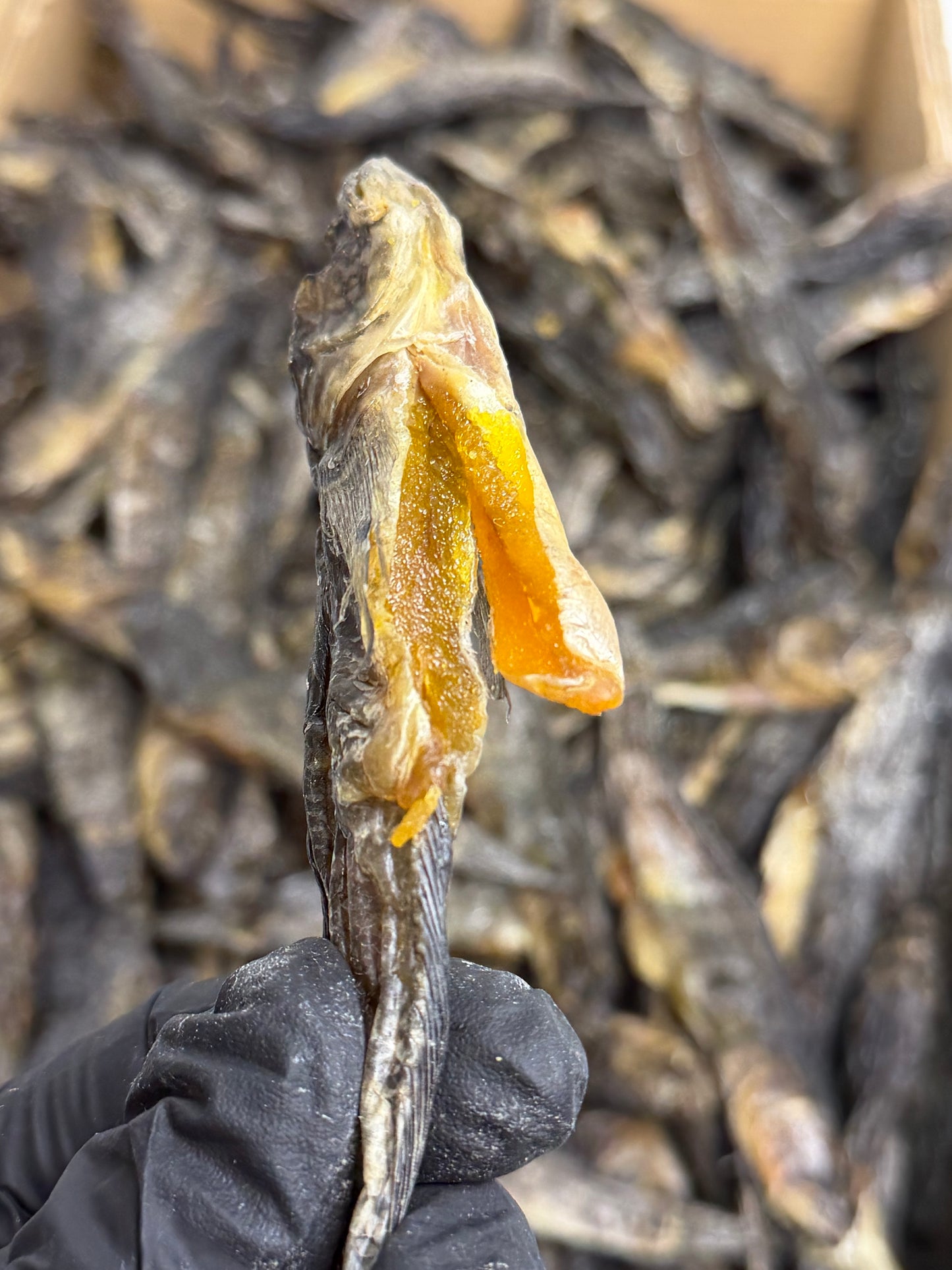 Dried Black Sea Goby with Roe Premium 1LB (Вяленые бычки с икрой )