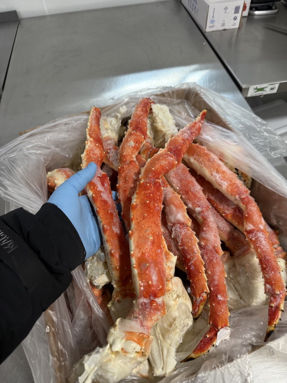 King Crab XL size