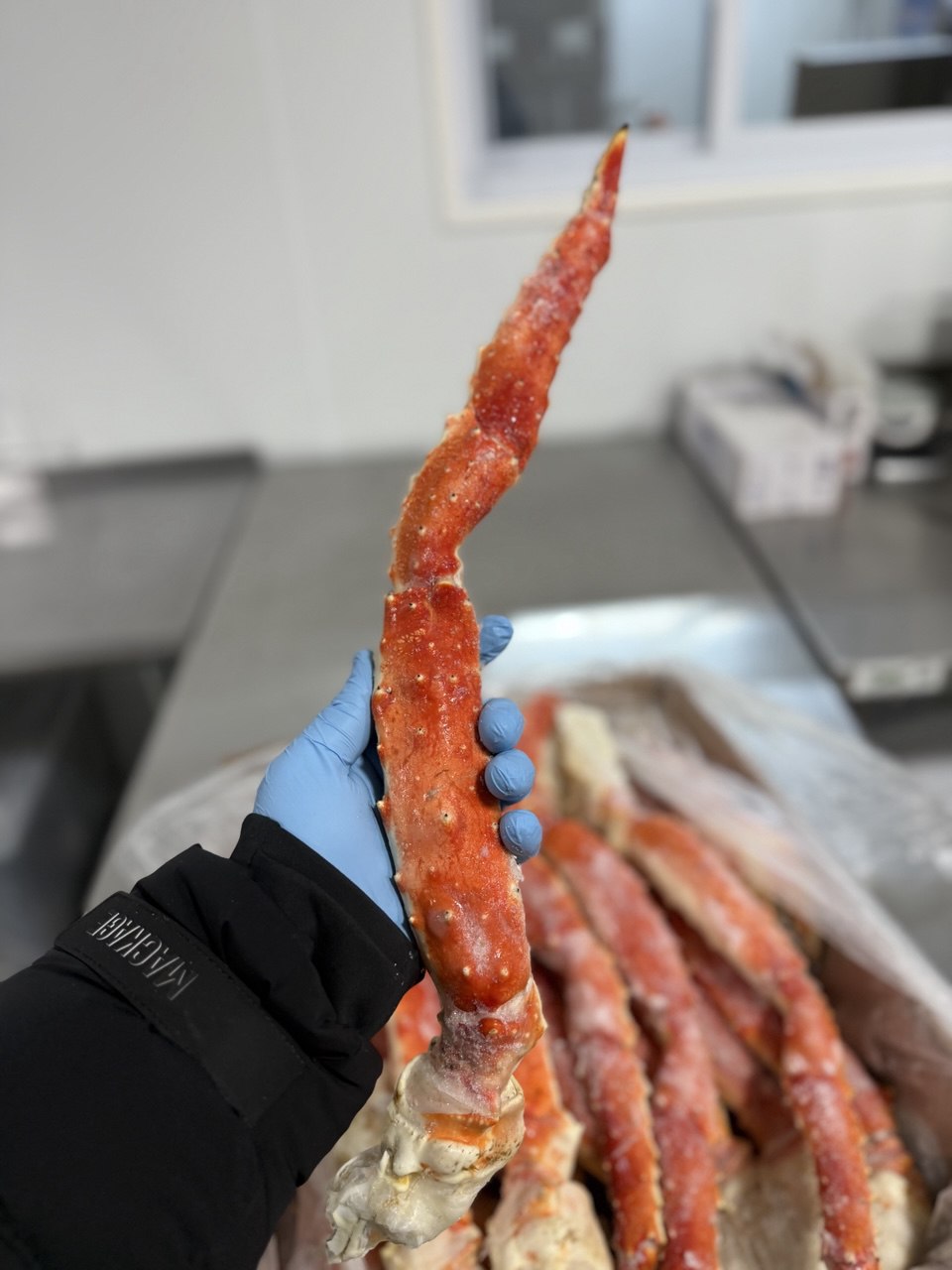 King Crab XL size