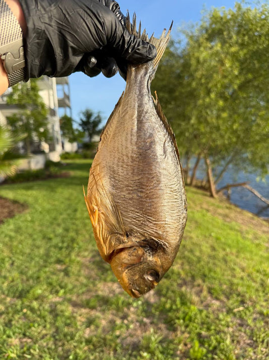 Large smoked Dorado (Копчёная дорадо крупная)