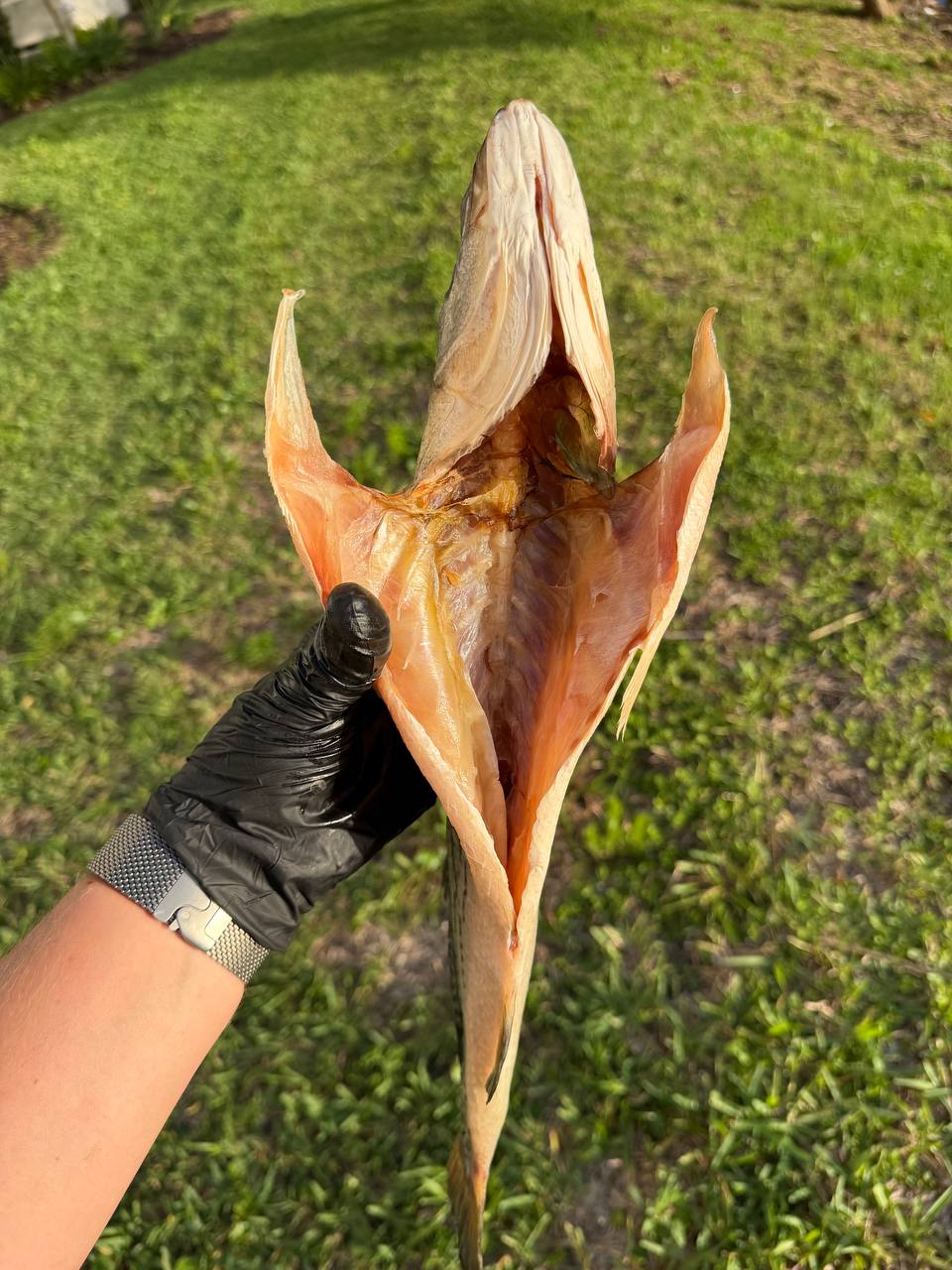 Cold-Smoked Dried White Perch (Вяленый белый окунь холодного копчения)