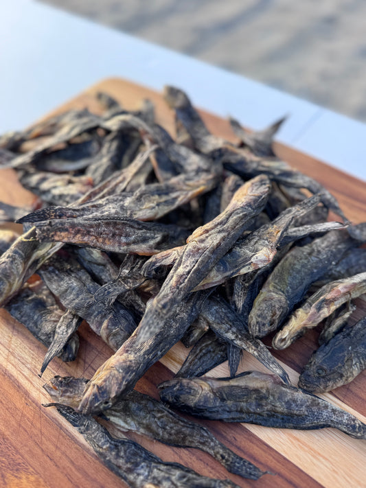 Dried Black Sea Goby with Roe Premium 1LB (Вяленые бычки с икрой )