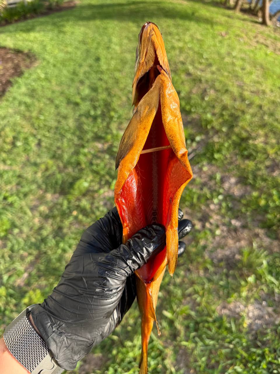Wild Smoked Coho Salmon (Дикий копченный Кижуч)