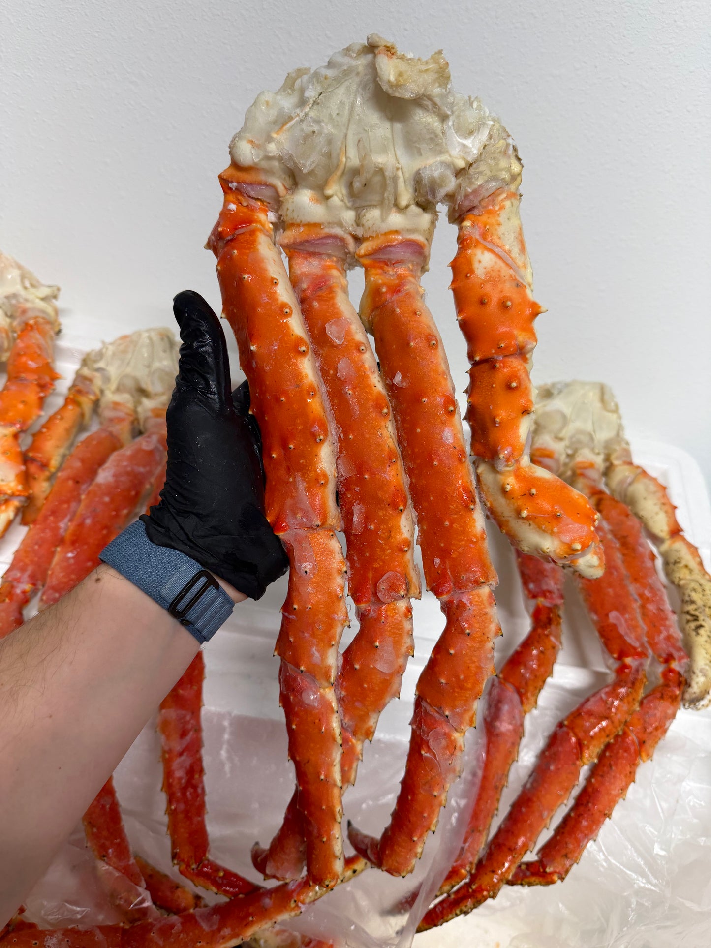 King Crab L size
