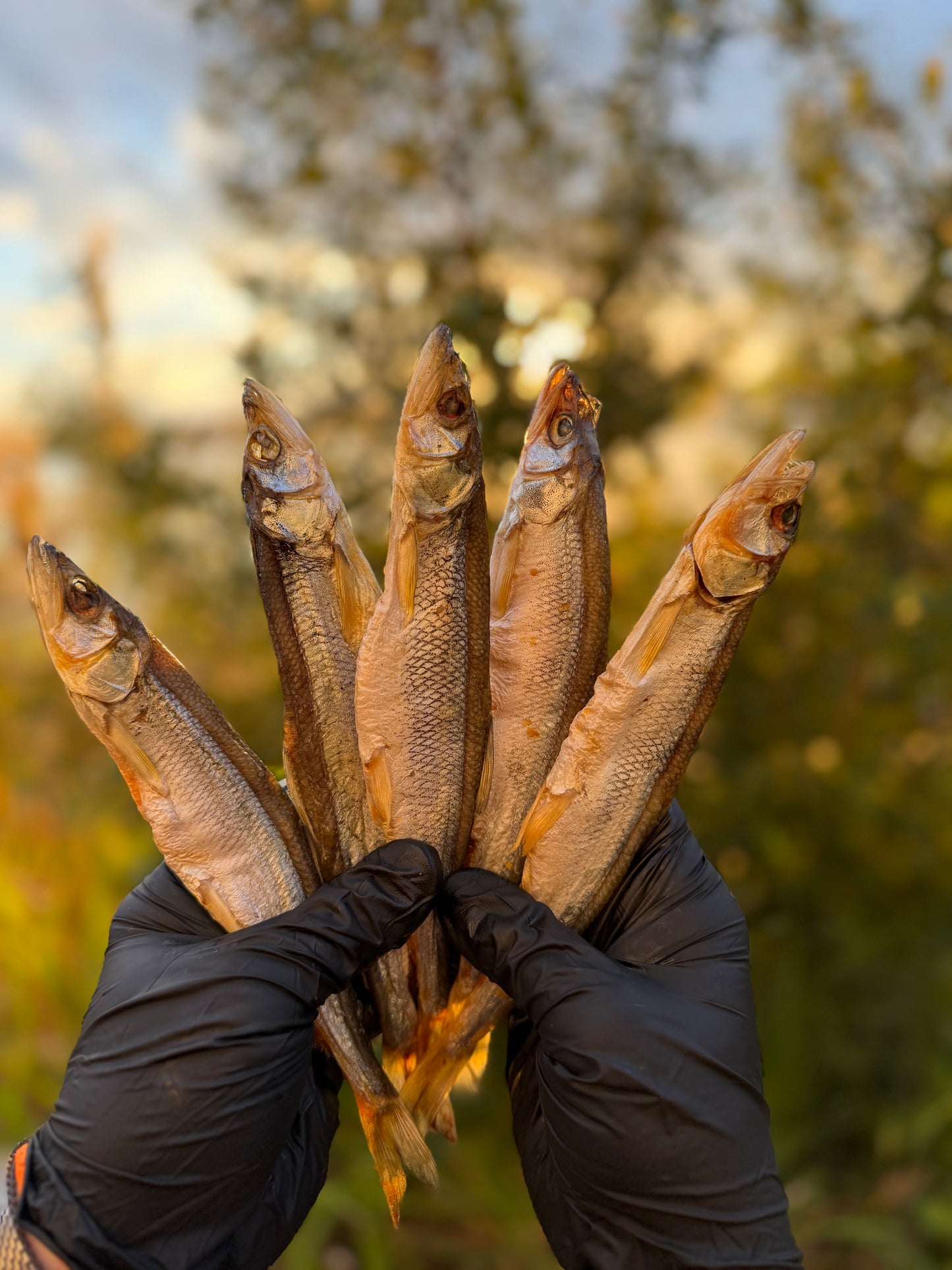 Premium Dried Smelt from Alaska 1Lb  (Вяленная премиальная  корюшка)