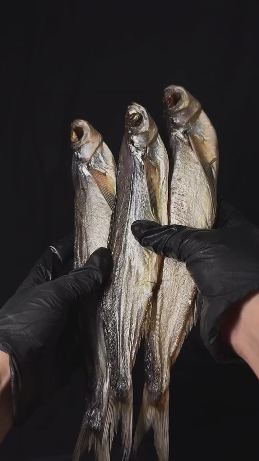 Dried Sabrefish (Chekhon) (4-5 per pack)