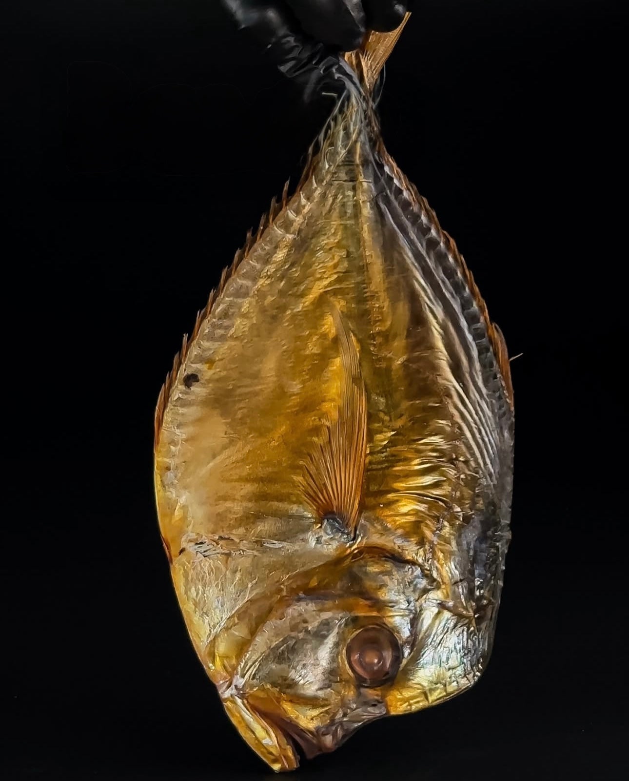 Dried/Vomer Fish (Вомер вяленый / сушёный)