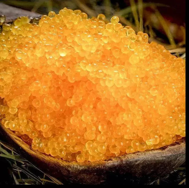 Omul Caviar (1Lb)